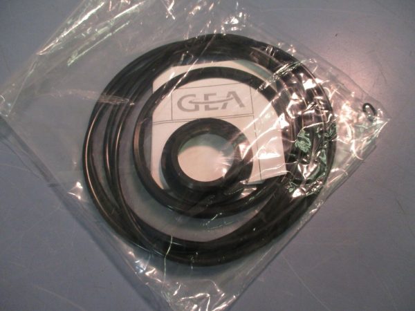 GEA Tuchenhagen 221-519.52 Seal Set Q, DN 100 4 , FPM New Online - Image 3